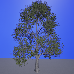 Street_Tree