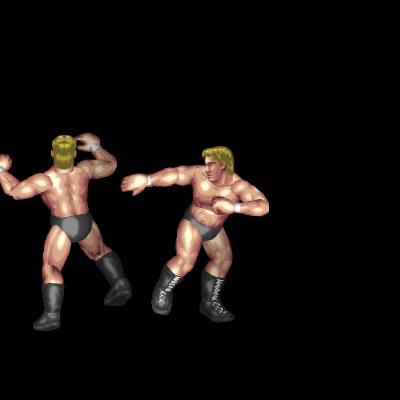 Lariat duck to Super Kick