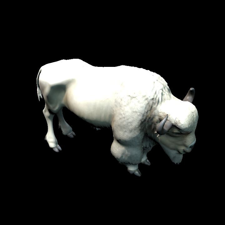 White Bison