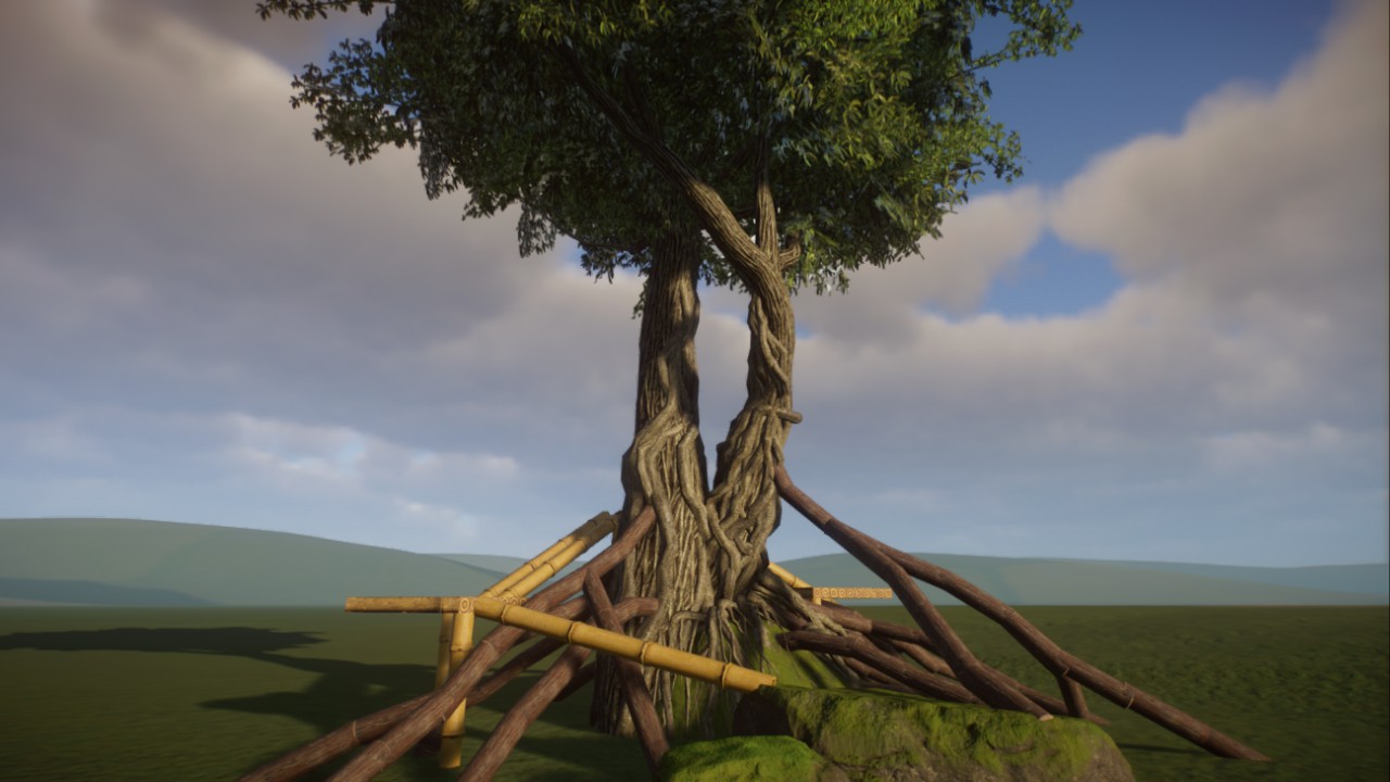 Ancient Strangler Fig Climber