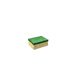 Scouring Sponge