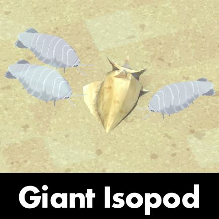 Giant Isopod