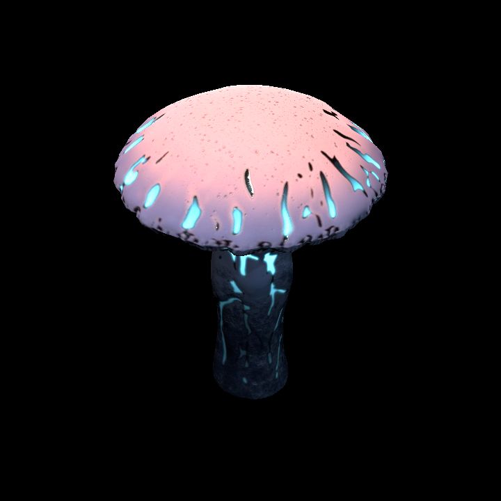 Mushroom_Middle_5_1