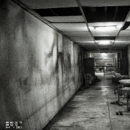 Asylum Surveillance Feed
