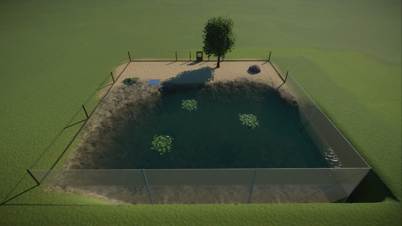 Open California Sea Lion Habitat