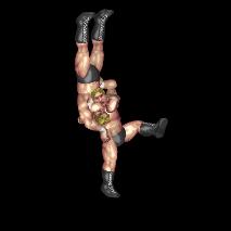 垂直落下式ブレーンバスター(Vertical Brainbuster)