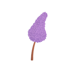 Lilacs
