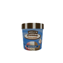 Pint of Ice Cream- Neapolitan