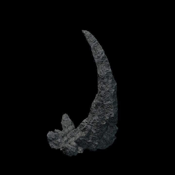 Rock Claw Medium3