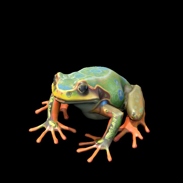 Frog 3