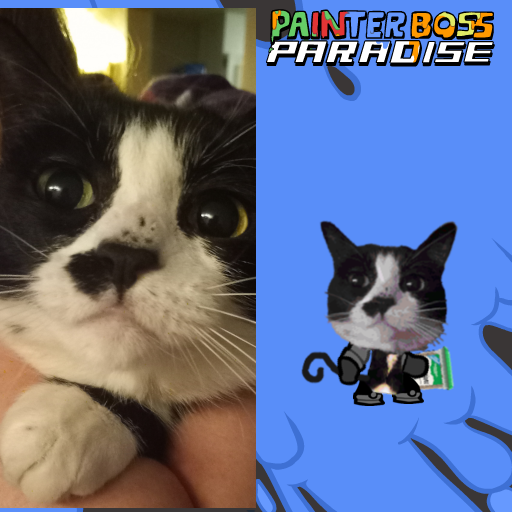 SMOL CAT