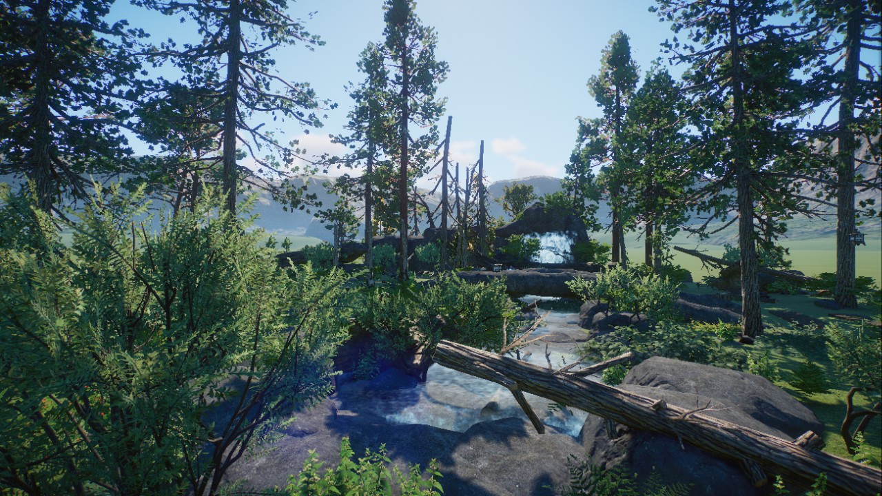 Forest Scenery 8