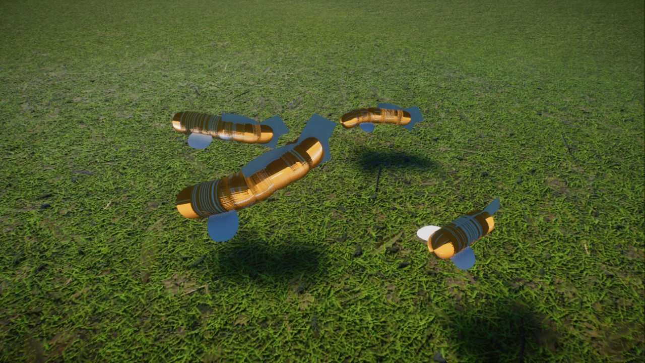 Koi Carp fish 1