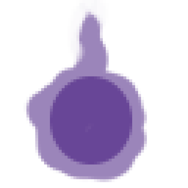 Inanis