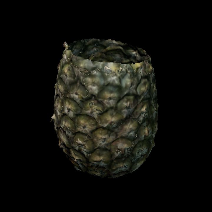 Pineapple 2 body