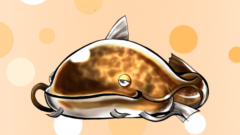 Giant Catfish