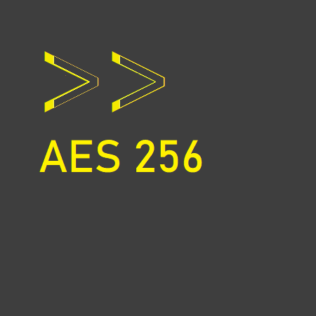 Encryption (AES 256) – Don't Starve Together Mod