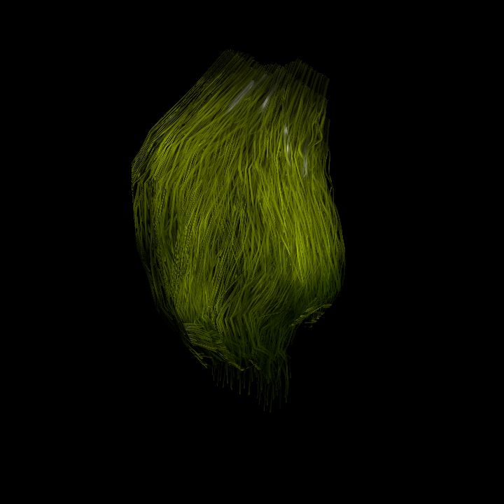 SwampTussocksSmallW_7