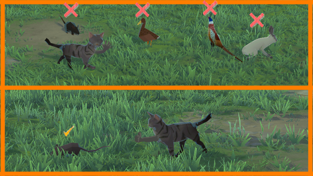 Cats Hunt Only Rats