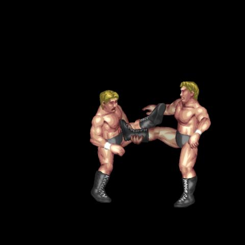 Step-Over Windmill Kick