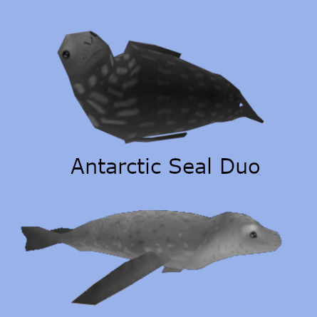 Antarctic Seal Duo