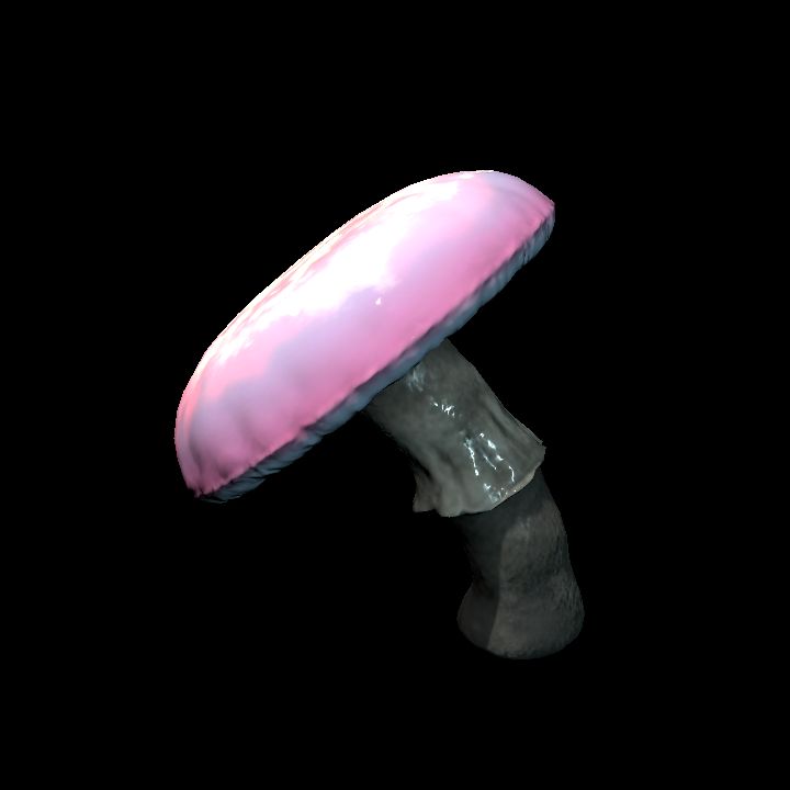 Mushroom_Middle_9_4