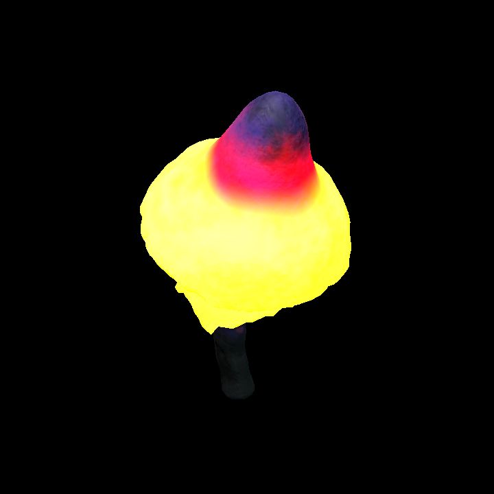 Mushroom_Middle_10_2
