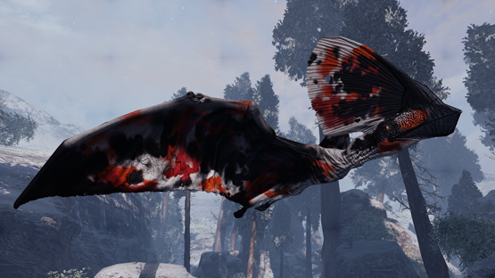 Koi Tupa (Summer 2024)
