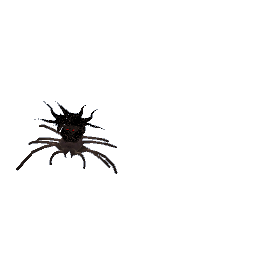 Wall Spider Demon
