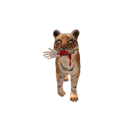 Tiger with hand