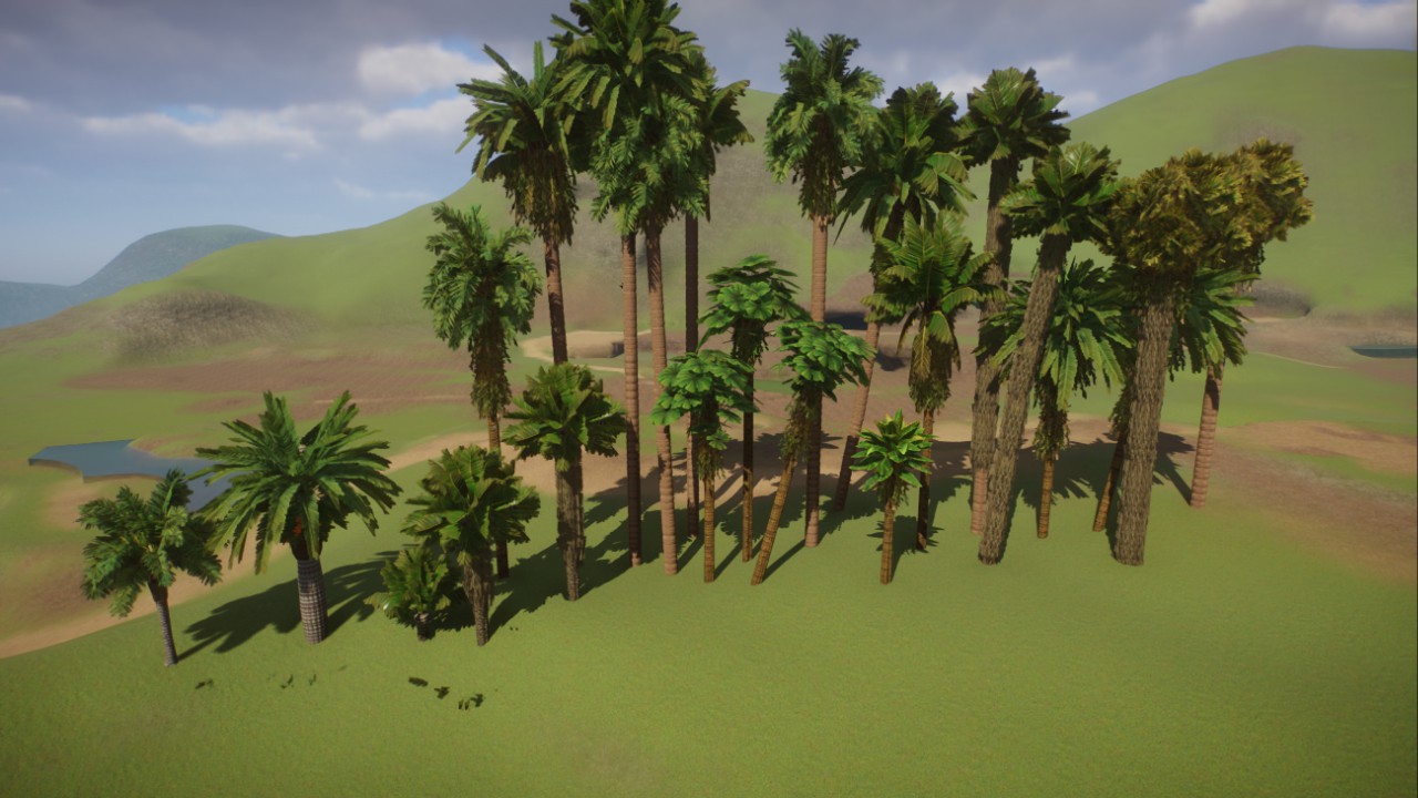 Large Palms