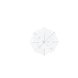 Spider web for wall preview