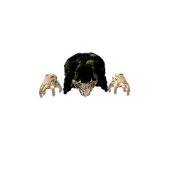 Demon head