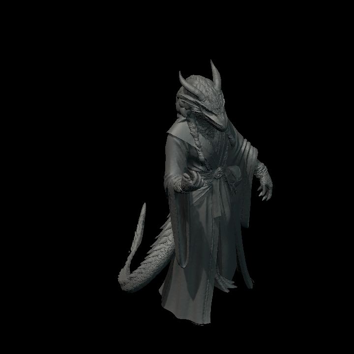 Dragonborn mage