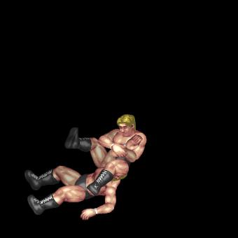 ダブルニーバックブリーカー式腕ひしぎ十字固め