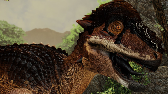PachyCerato (mutation)