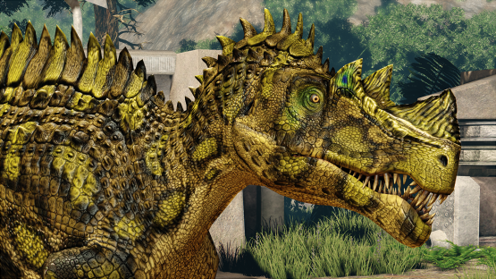 Suchus Cerato (v2)