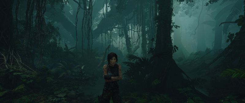 tomb raider wallpaper