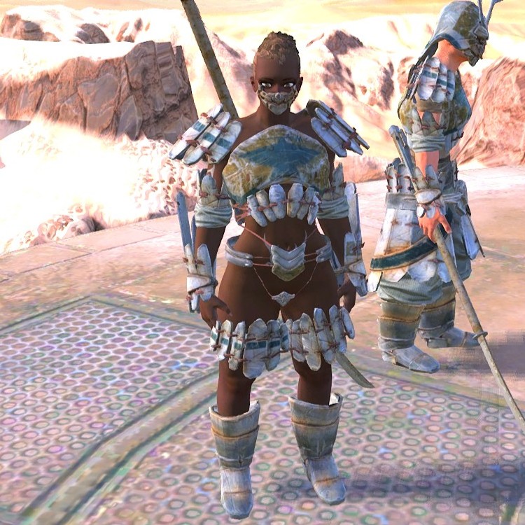 Customized Armour for NPC