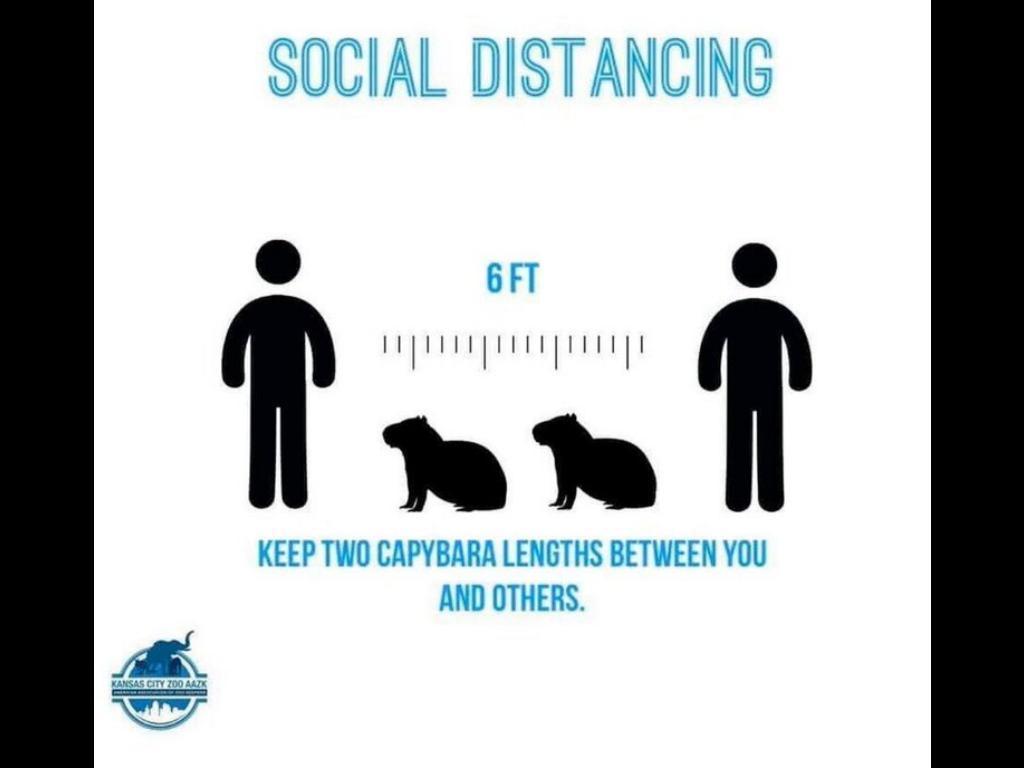 Dota 2 but social distancing