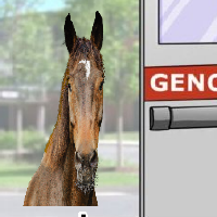 Equine loss