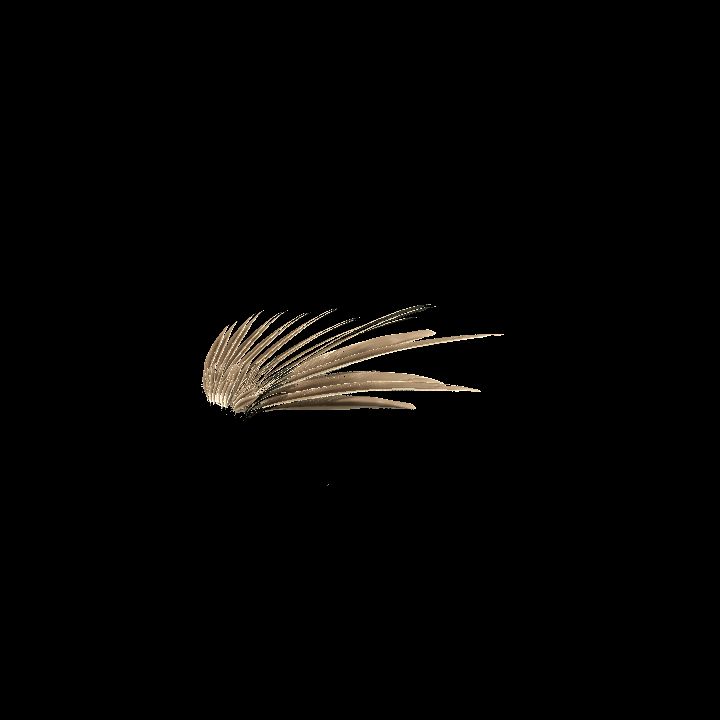 wing feathered 02 mirrored