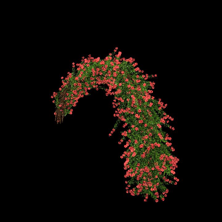 Garden Bow Red