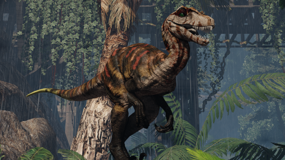 Agkistrodon Nova