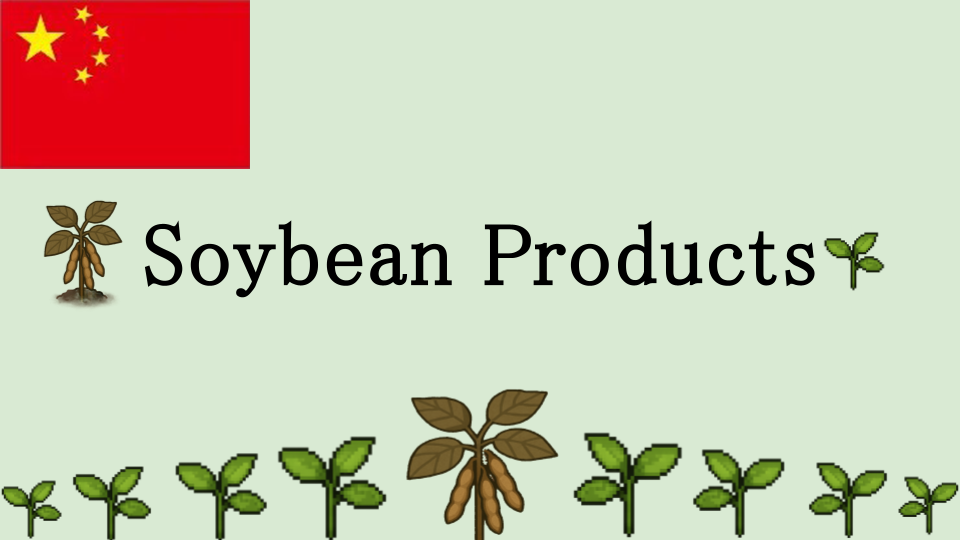 Soybean Products Translation 简体中文
