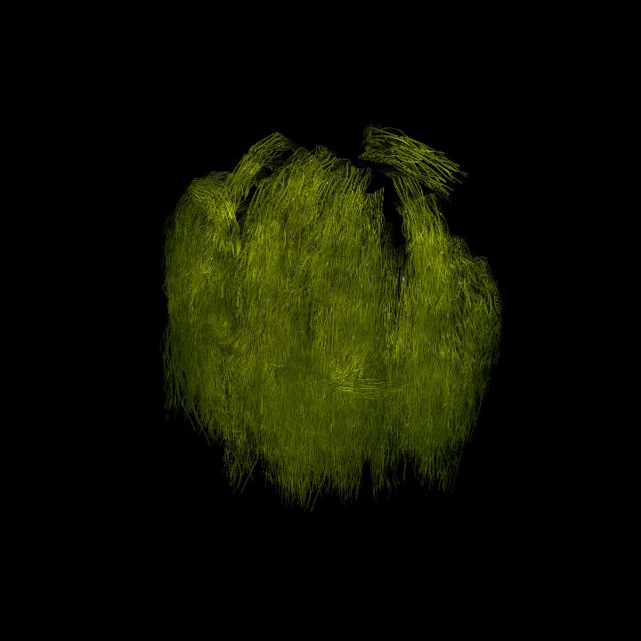 SwampTussockWall_9