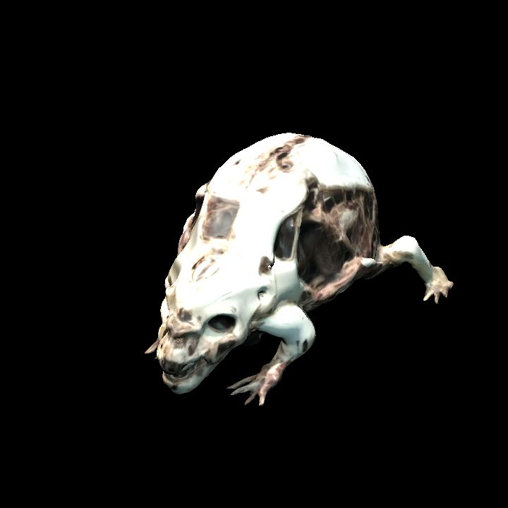 Rotting frog