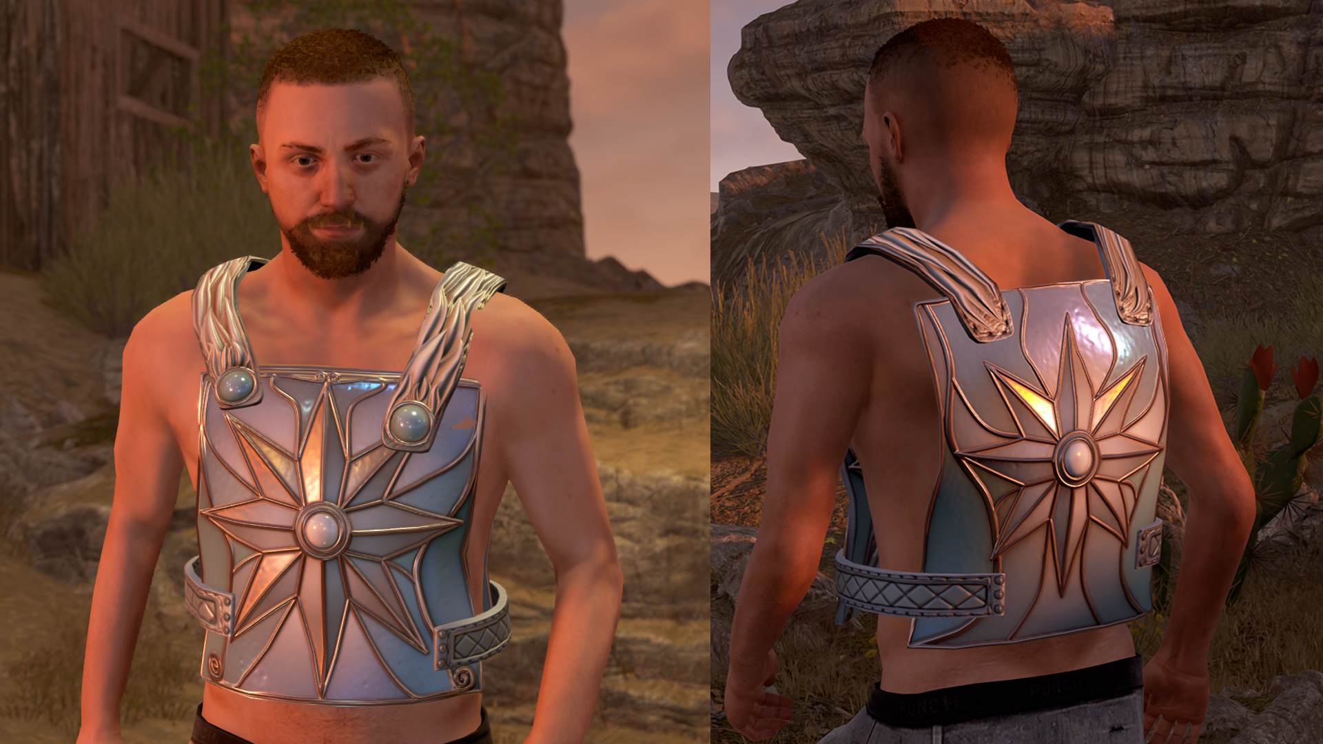 North Star Metal Chestplate thumbnail 2