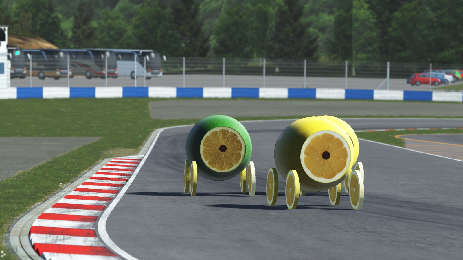 LeMons 24h