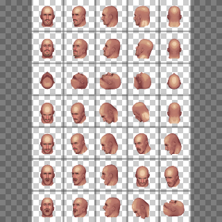 Adam Cole Head
